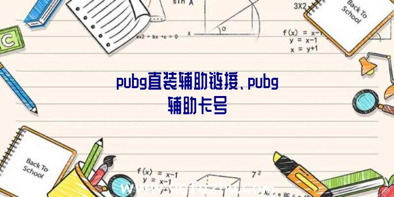 pubg直装辅助链接、pubg辅助卡号