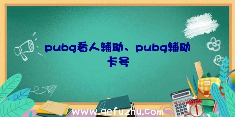 pubg看人辅助、pubg辅助卡号