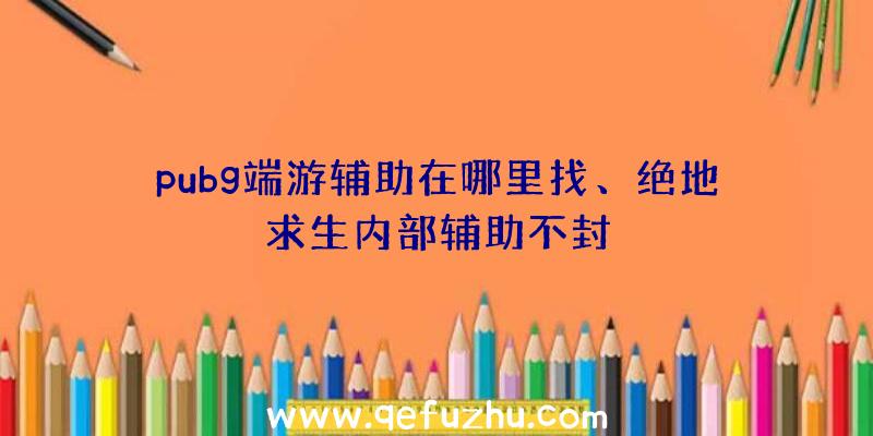 pubg端游辅助在哪里找、绝地求生内部辅助不封