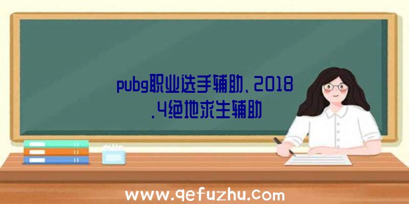 pubg职业选手辅助、2018.4绝地求生辅助