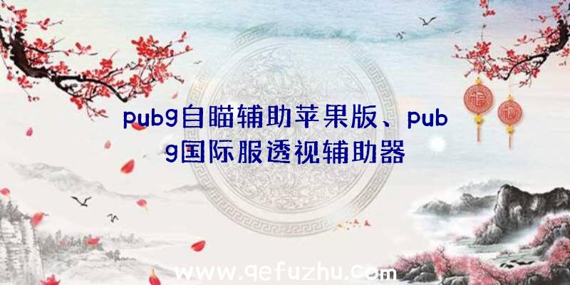 pubg自瞄辅助苹果版、pubg国际服透视辅助器