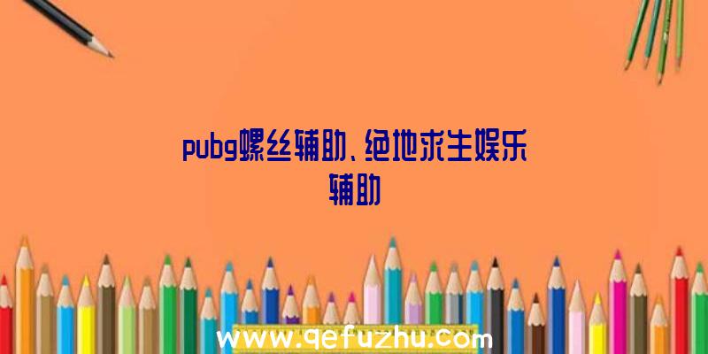 pubg螺丝辅助、绝地求生娱乐辅助