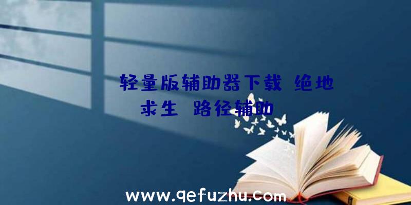 pubg轻量版辅助器下载、绝地求生