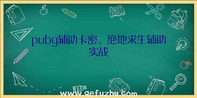 pubg辅助卡密、绝地求生辅助实战