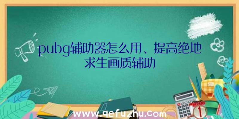 pubg辅助器怎么用、提高绝地求生画质辅助