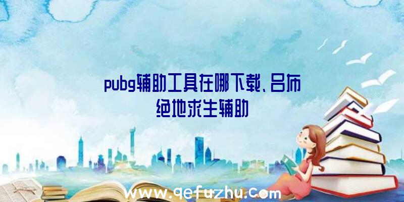 pubg辅助工具在哪下载、吕布绝地求生辅助