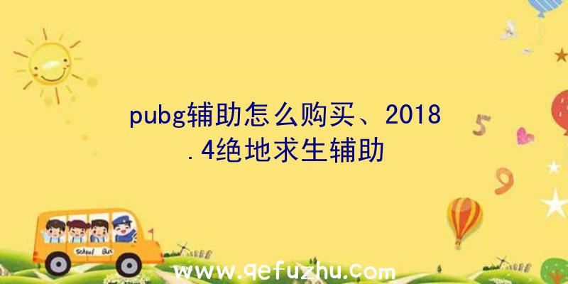 pubg辅助怎么购买、2018.4绝地求生辅助