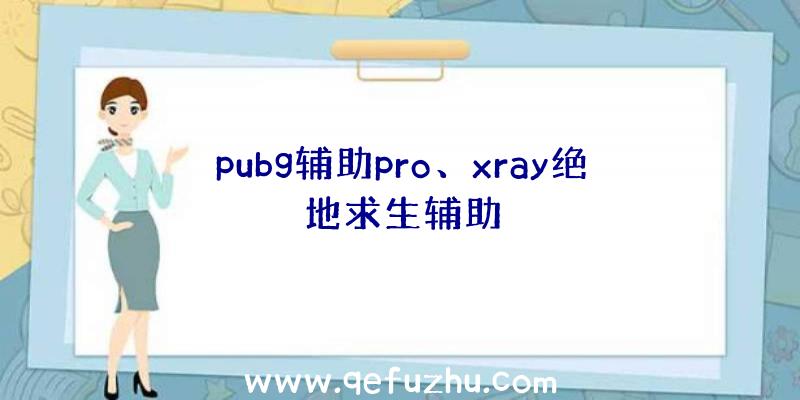 pubg辅助pro、xray绝地求生辅助