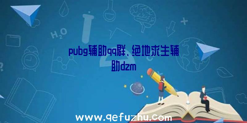 pubg辅助qq群、绝地求生辅助dzm