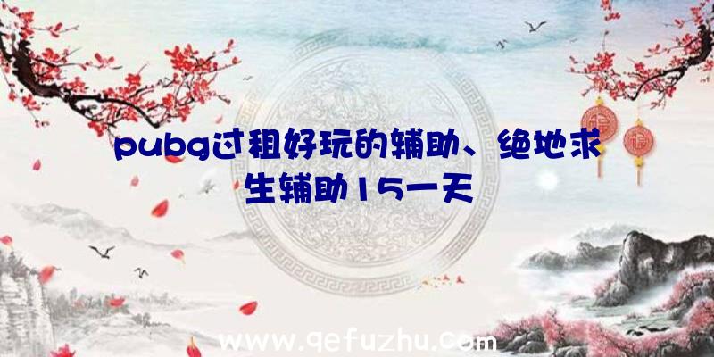 pubg过租好玩的辅助、绝地求生辅助15一天