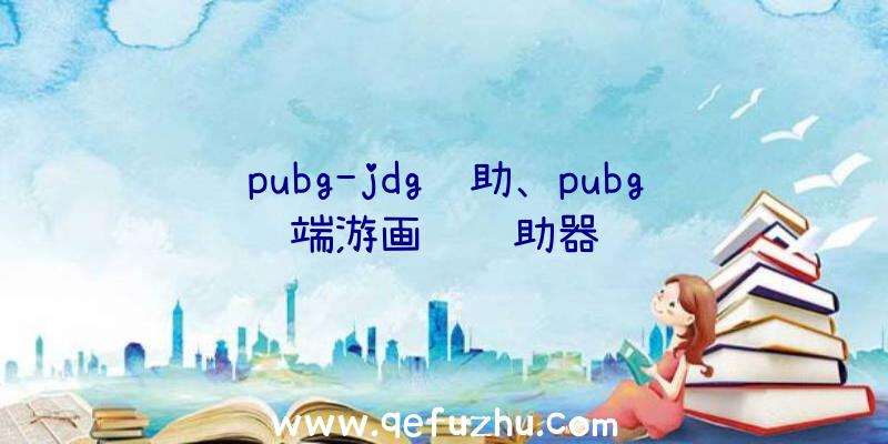 pubg-jdg辅助、pubg端游画质辅助器