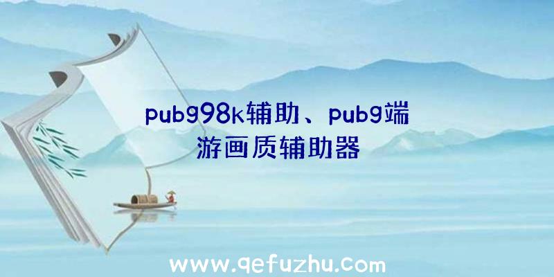 pubg98k辅助、pubg端游画质辅助器