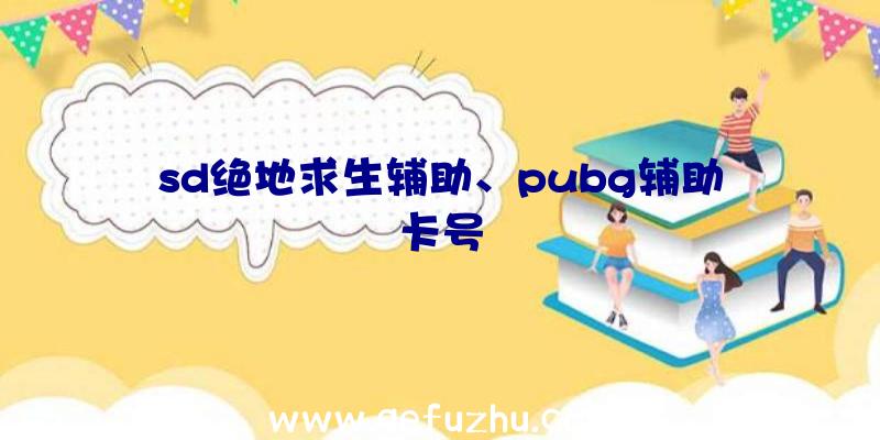 sd绝地求生辅助、pubg辅助卡号