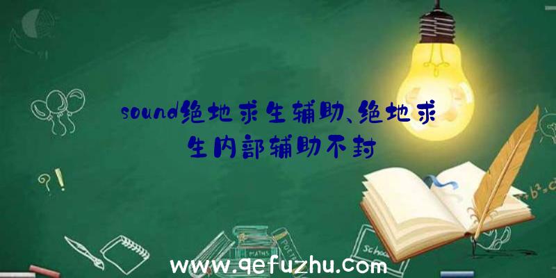 sound绝地求生辅助、绝地求生内部辅助不封