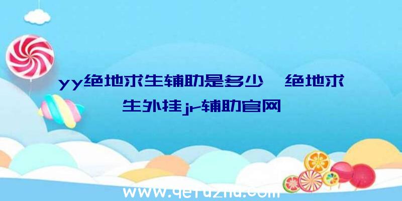 yy绝地求生辅助是多少、绝地求生外挂jr辅助官网