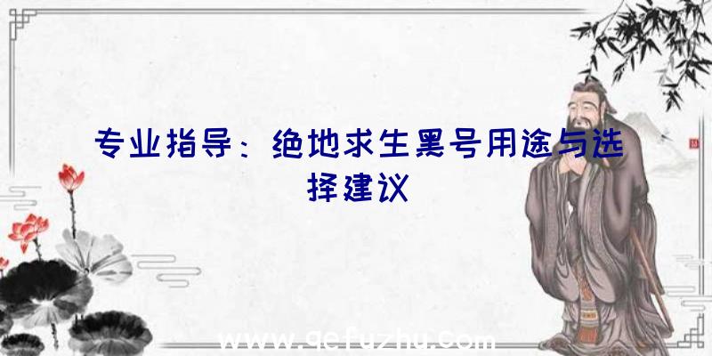 专业指导：绝地求生黑号用途与选择建议