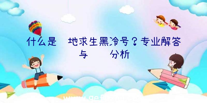 什么是绝地求生黑冷号？专业解答与详细分析