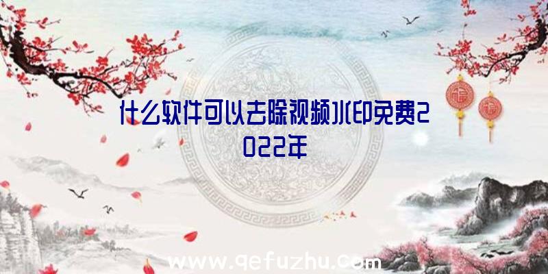 什么软件可以去除视频水印免费2022年