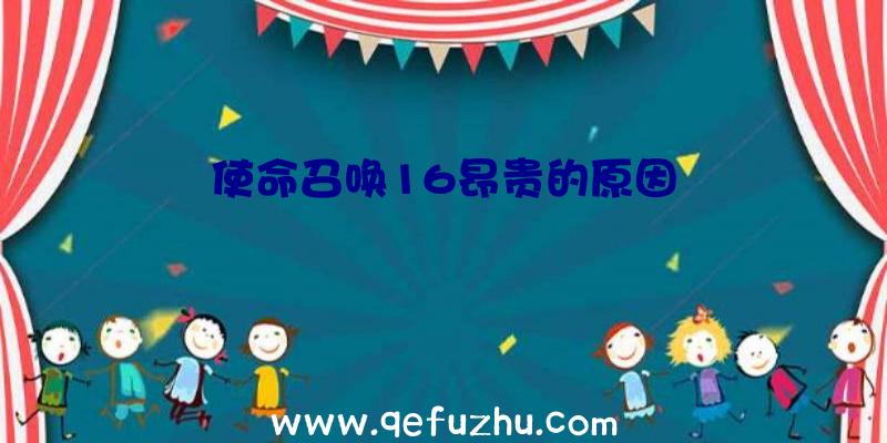 使命召唤16昂贵的原因