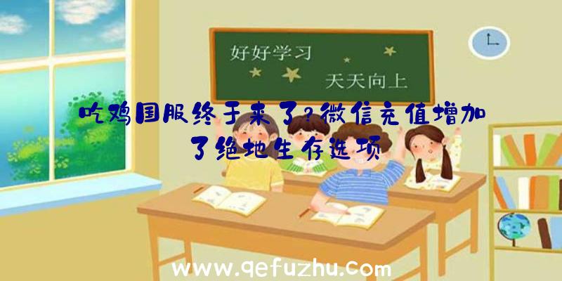 吃鸡国服终于来了？微信充值增加了绝地生存选项