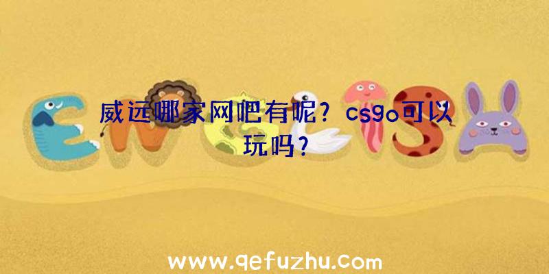 威远哪家网吧有呢？csgo可以玩吗？