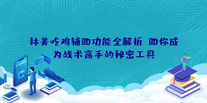 林美吃鸡辅助功能全解析：助你成为战术高手的秘密工具！