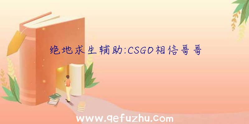 绝地求生辅助:CSGO相信哥哥