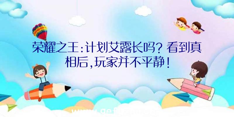 荣耀之王:计划艾露长吗？看到真相后,玩家并不平静!