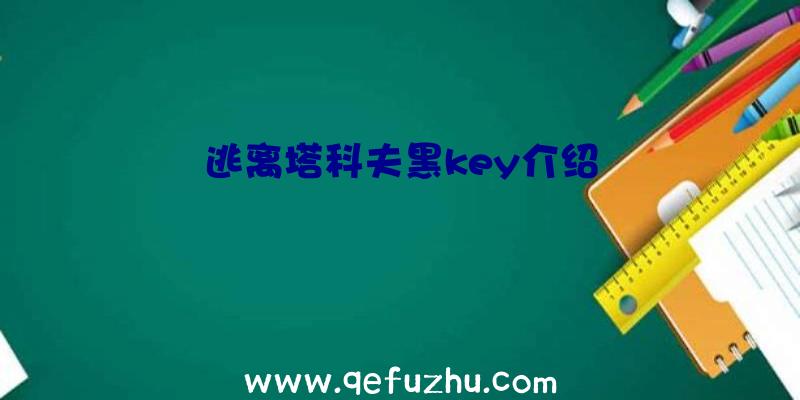 逃离塔科夫黑key介绍