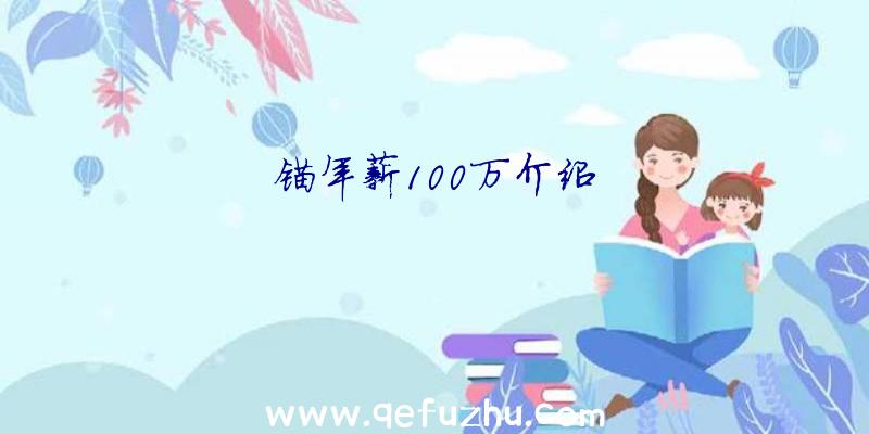 锚年薪100万介绍