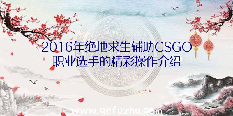 2016年绝地求生辅助CSGO职业选手的精彩操作介绍