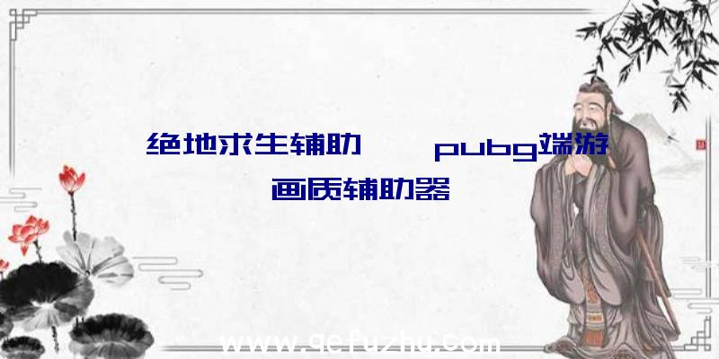 【绝地求生辅助】、pubg端游画质辅助器