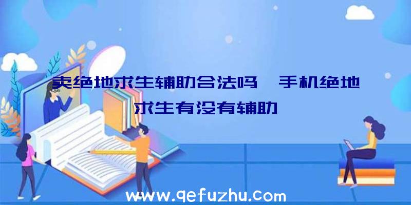 卖绝地求生辅助合法吗、手机绝地求生有没有辅助