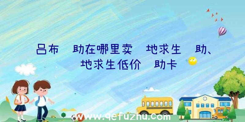 吕布辅助在哪里卖绝地求生辅助、绝地求生低价辅助卡