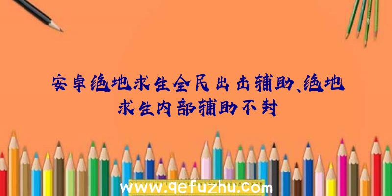 安卓绝地求生全民出击辅助、绝地求生内部辅助不封