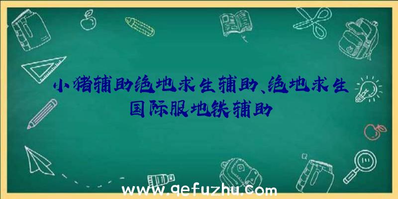 小猪辅助绝地求生辅助、绝地求生国际服地铁辅助