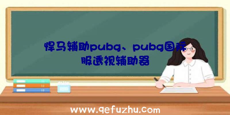 悍马辅助pubg、pubg国际服透视辅助器