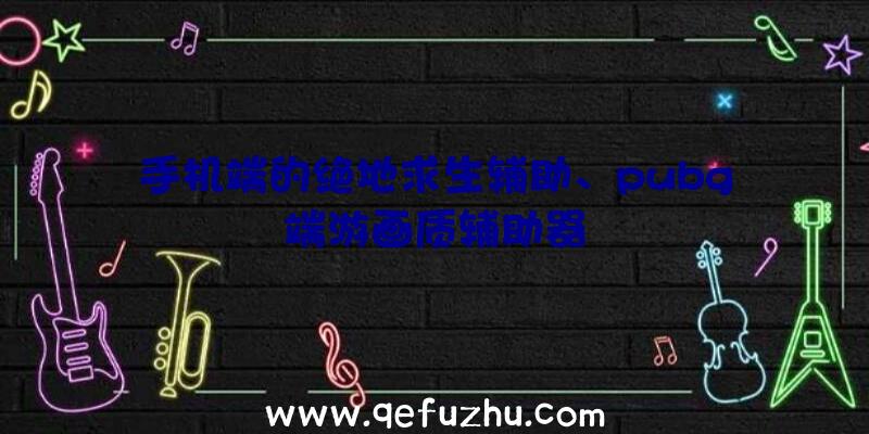 手机端的绝地求生辅助、pubg端游画质辅助器