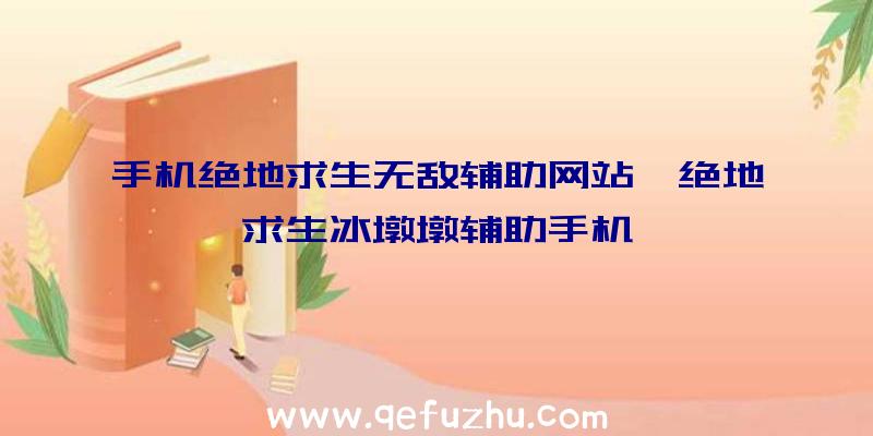 手机绝地求生无敌辅助网站、绝地求生冰墩墩辅助手机