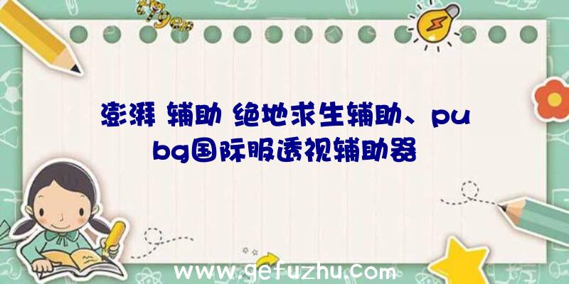 澎湃+辅助+绝地求生辅助、pubg国际服透视辅助器