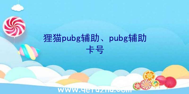 狸猫pubg辅助、pubg辅助卡号