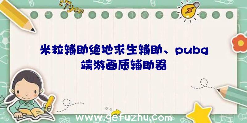 米粒辅助绝地求生辅助、pubg端游画质辅助器