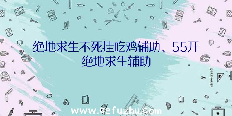 绝地求生不死挂吃鸡辅助、55开绝地求生辅助