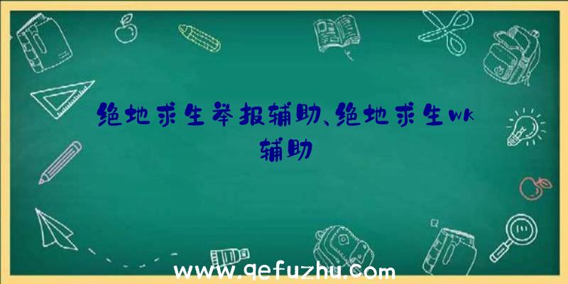 绝地求生举报辅助、绝地求生wk辅助