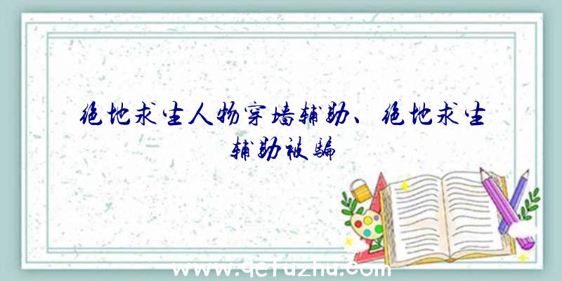 绝地求生人物穿墙辅助、绝地求生辅助被骗