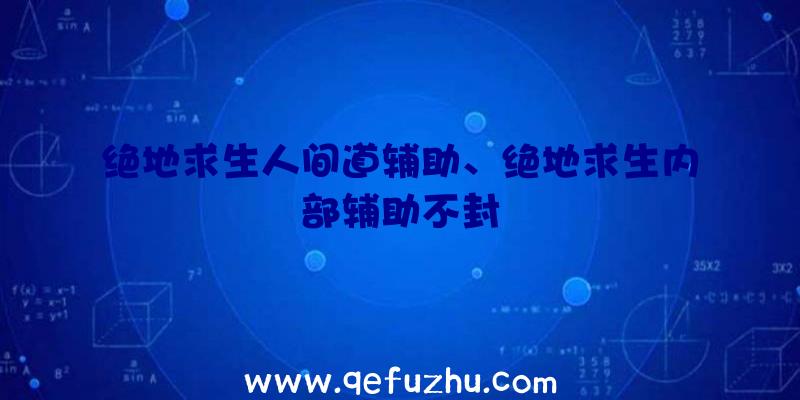 绝地求生人间道辅助、绝地求生内部辅助不封