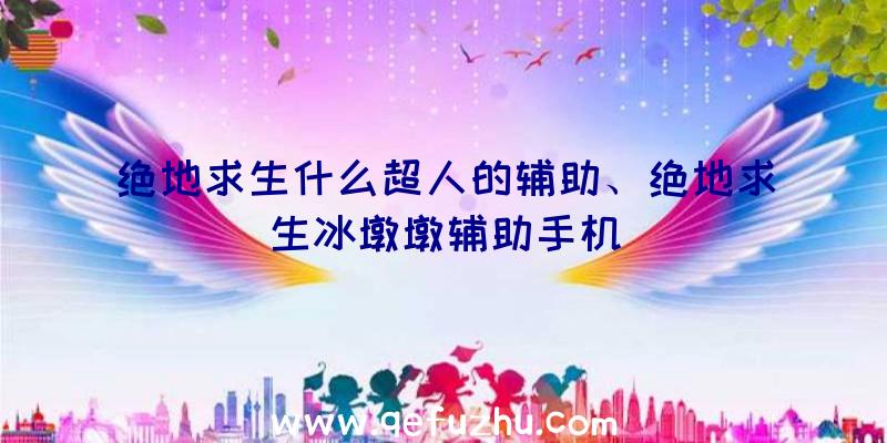 绝地求生什么超人的辅助、绝地求生冰墩墩辅助手机