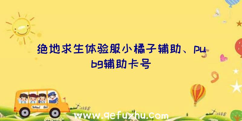 绝地求生体验服小橘子辅助、pubg辅助卡号