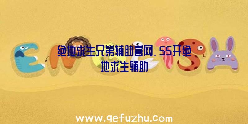 绝地求生兄弟辅助官网、55开绝地求生辅助