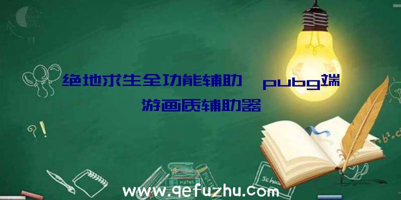 绝地求生全功能辅助、pubg端游画质辅助器